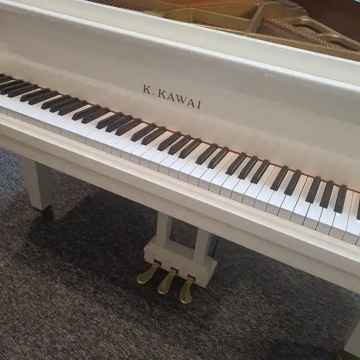 Kawai GM-10